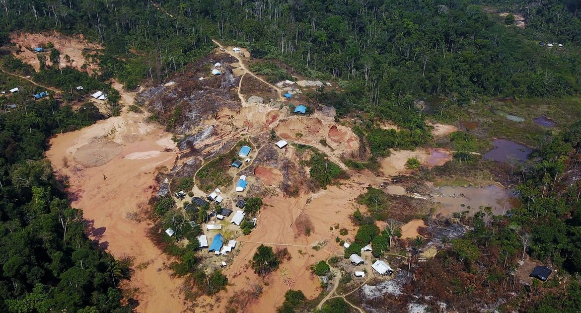 Ouro de Sangue: como o PT favoreceu o crescimento do garimpo