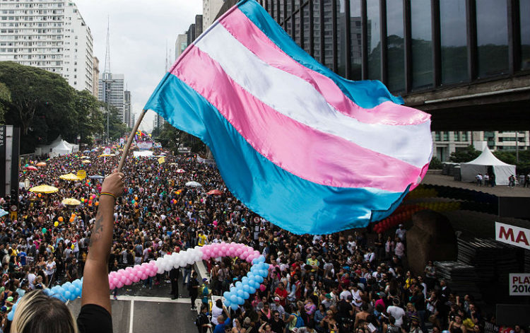 Lei garante gratuidade na emissão da 2ª via do RG para trans e travestis no DF