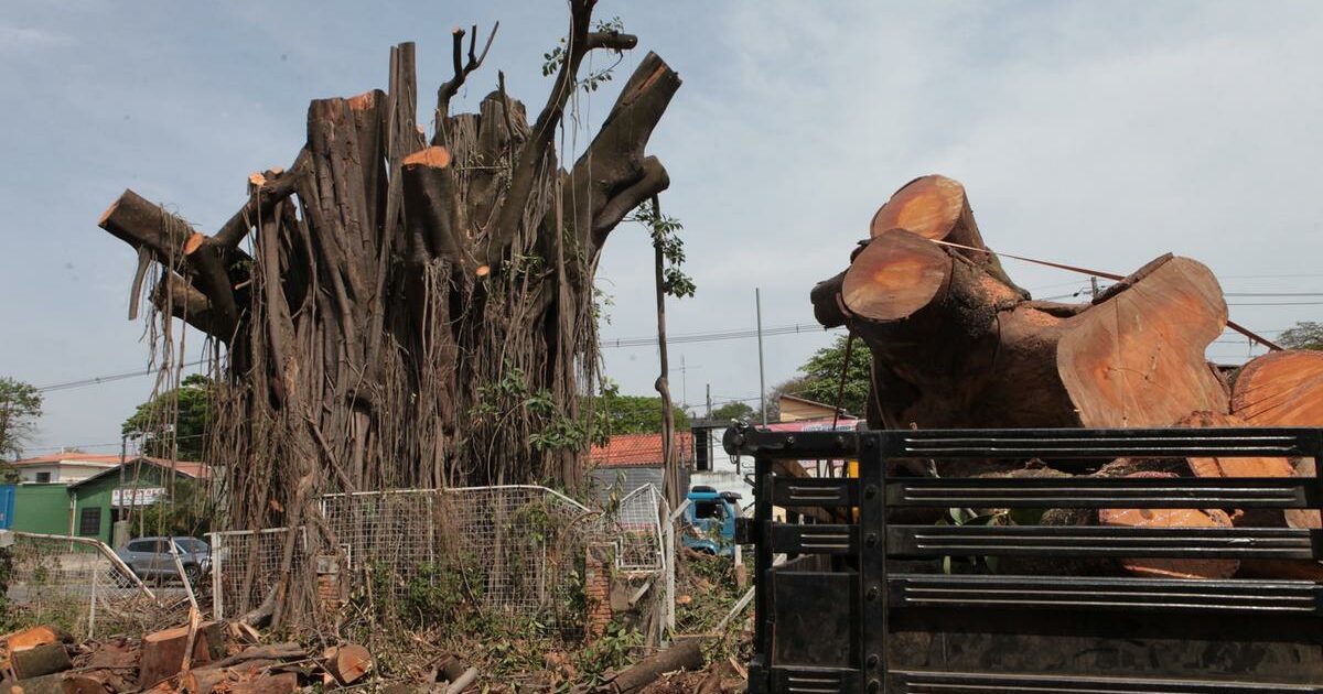 Como o capitalismo contribui para desastres climáticos