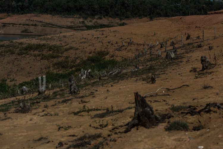 Amazônia: e depois da seca?