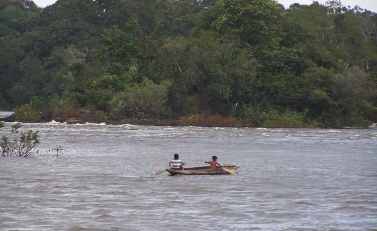 Guiana na perspectiva da manipulação extrativista