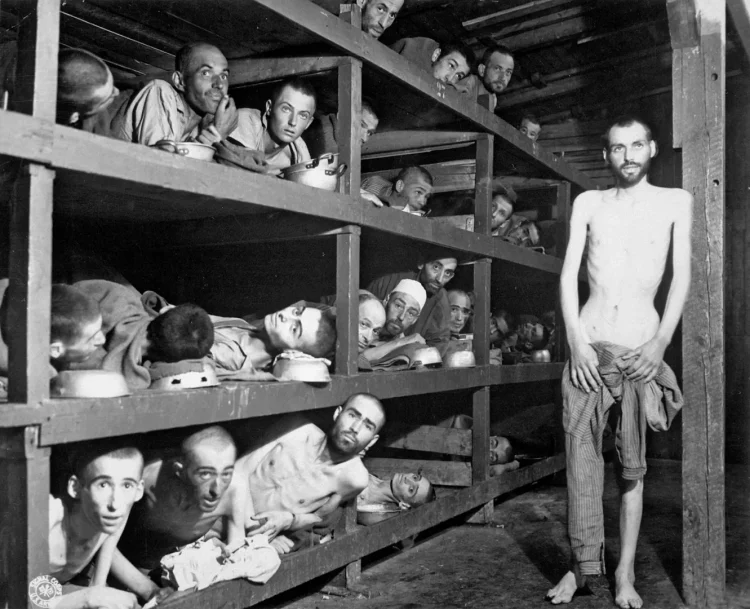 Pré-condições materiais, sociais e ideológicas para o genocídio nazista