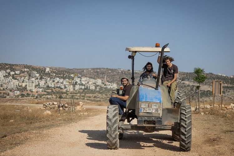 Uma nova onda de colonos está aterrorizando os palestinos na Cisjordânia