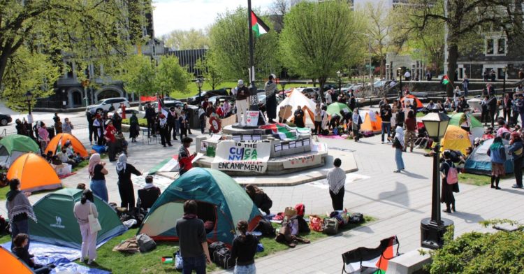 O Movimento Estudantil pela Palestina precisa de todos