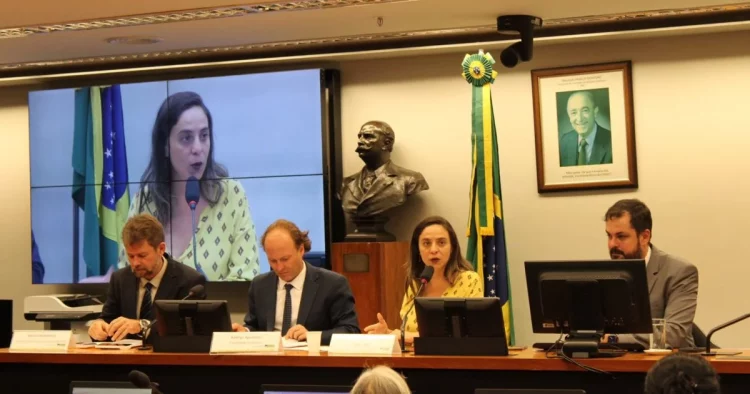 Audiência pública proposta Fernanda Melchionna debate crise climática 