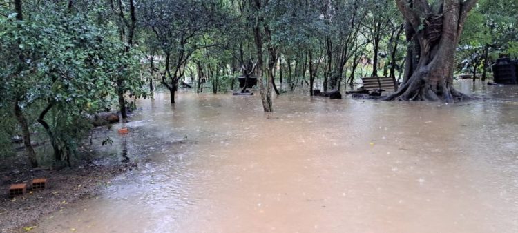 Chuvas no RS: mais de 8 mil indígenas foram afetados