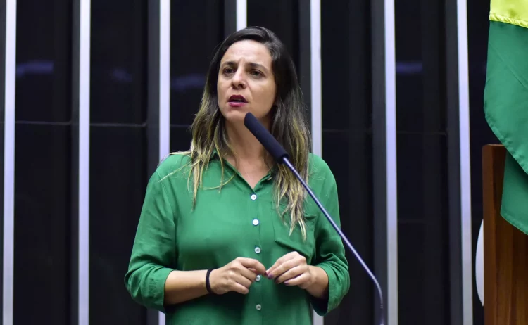 Melchionna quer que deputados sejam responsabilizados por fake news sobre catástrofe no RS