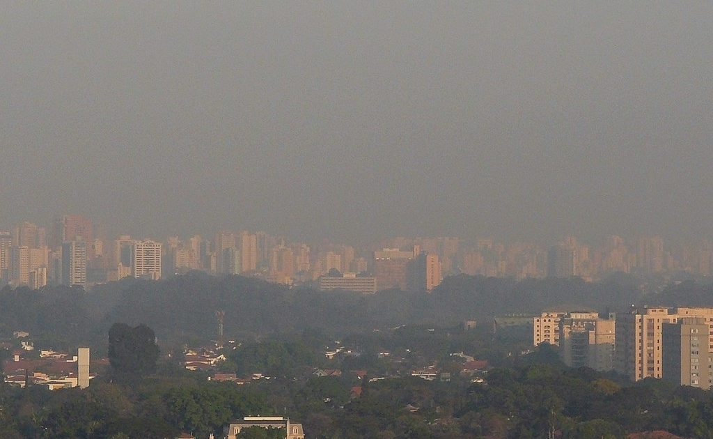 Estratégia ecossocialista em tempos turbulentos