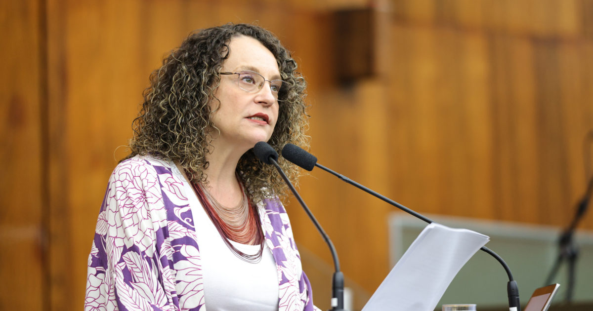 PL de Luciana Genro garante ala na maternidade para gestantes que perderem os bebês