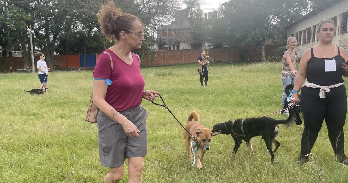 RS: Luciana Genro solicita audiência pública sobre a situação dos animais resgatados