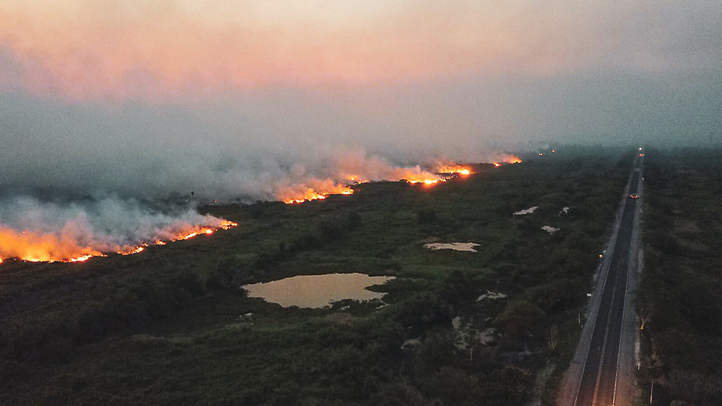Pantanal em chamas: 95% do fogo tem origem em propriedades privadas