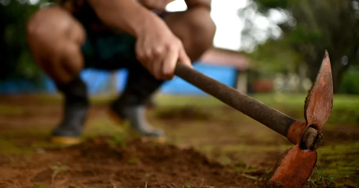 Morte em clínica reacende debate sobre as comunidade terapêuticas