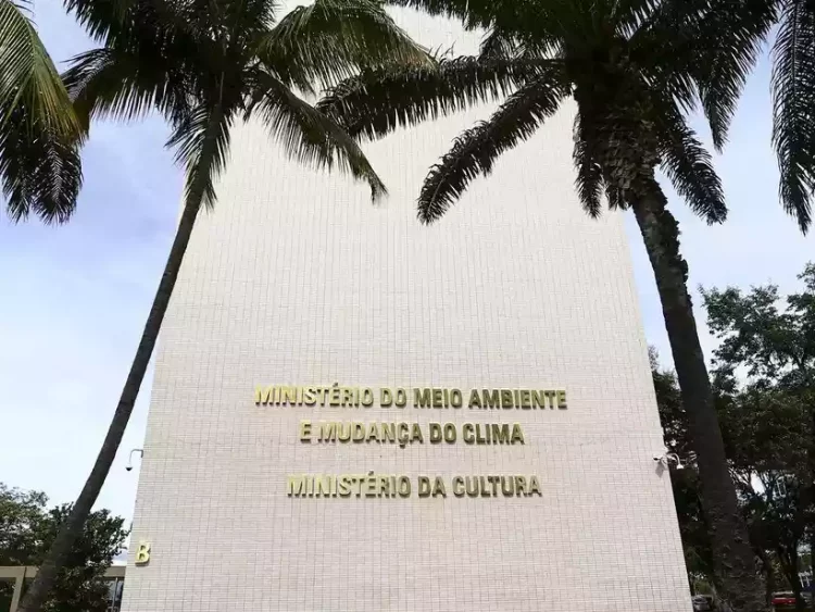 Governo Bolsonaro promoveu sumiço de documentos do Ministério do Meio Ambiente