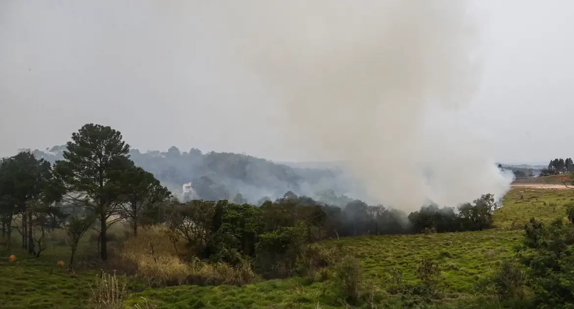 Incêndios em São Paulo tem origem criminosa, diz ministra