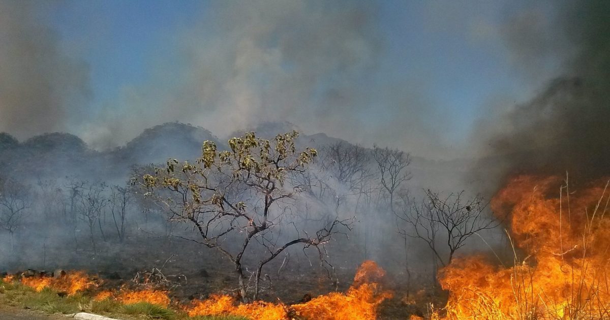 Le Brésil en flammes