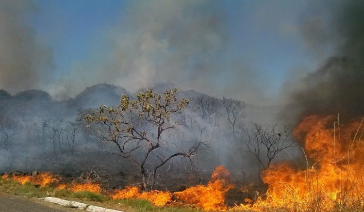 Le Brésil en flammes