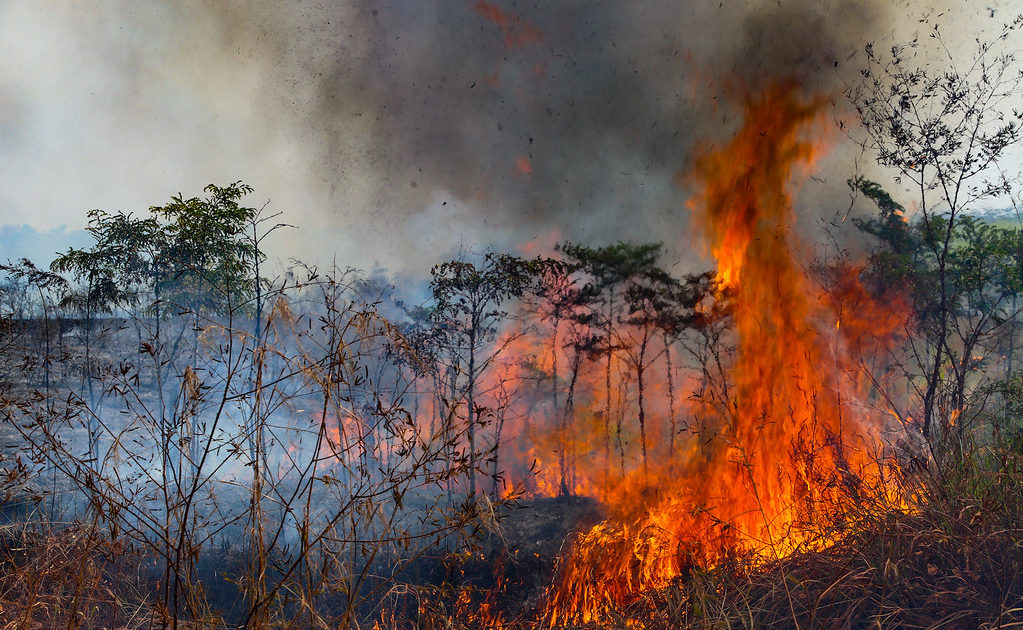 O Pará arde em chamas