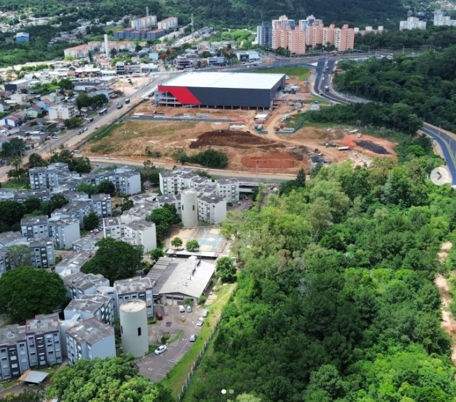 O preço do ‘progresso’: floresta de Mata Atlântica sob ameaça em Porto Alegre