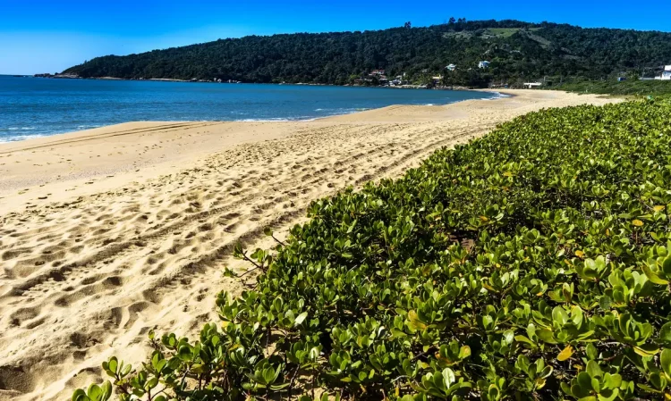 CCJ do Senado volta a debater privatização das praias