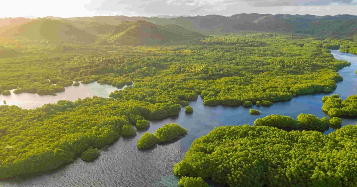 Dentro do território nós somos donos(as) do nosso tempo. Quando roubam nosso tempo, roubam nossa liberdade!