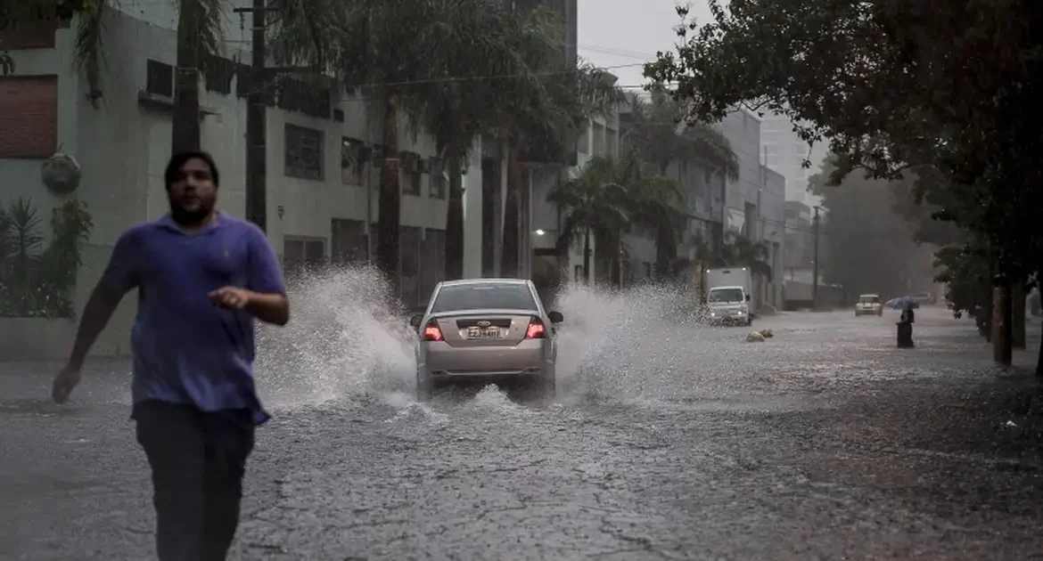 Sâmia cobra governo federal por plano emergencial para cidades paulistas atingidas por enchentes