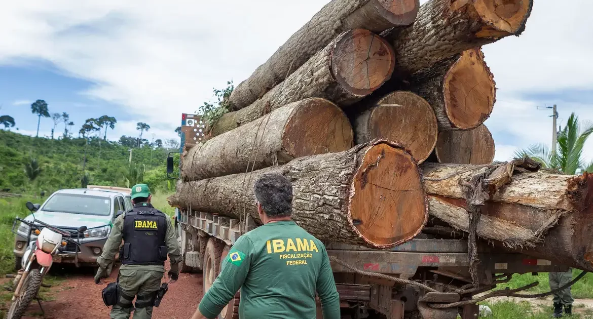 Em defesa da autonomia do Ibama, instituição de Estado