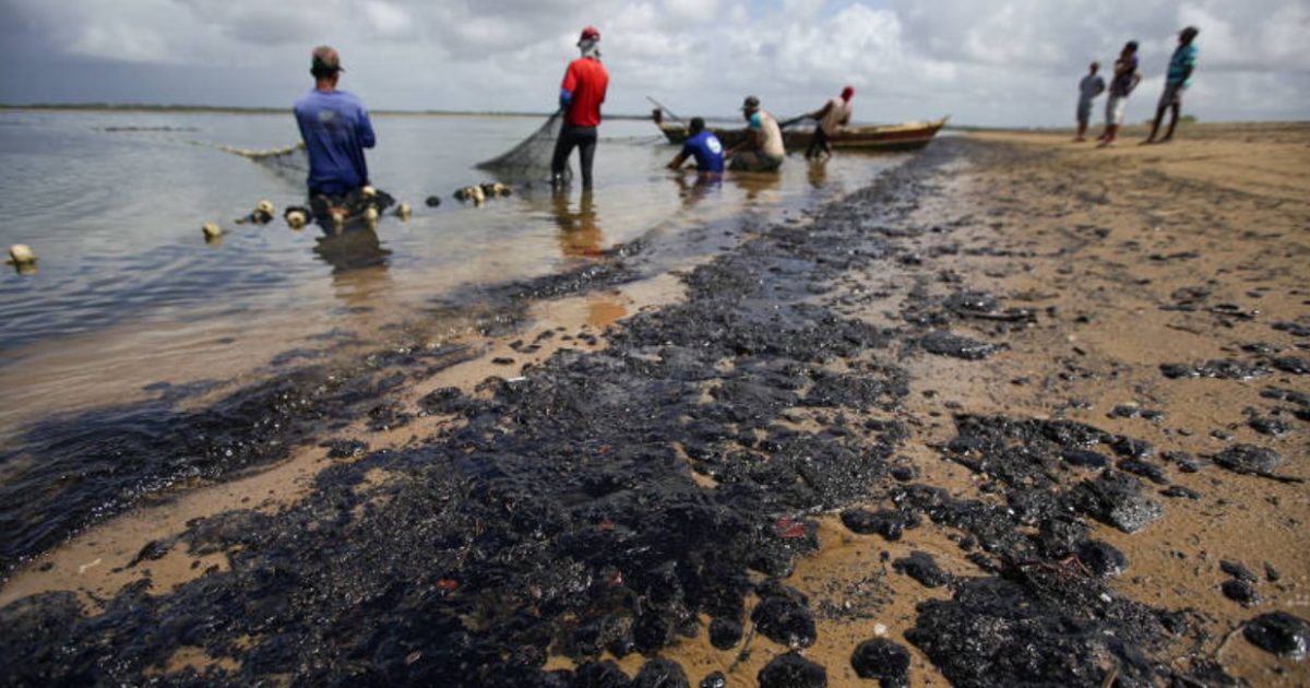 Há uma guerra em curso contra o meio ambiente