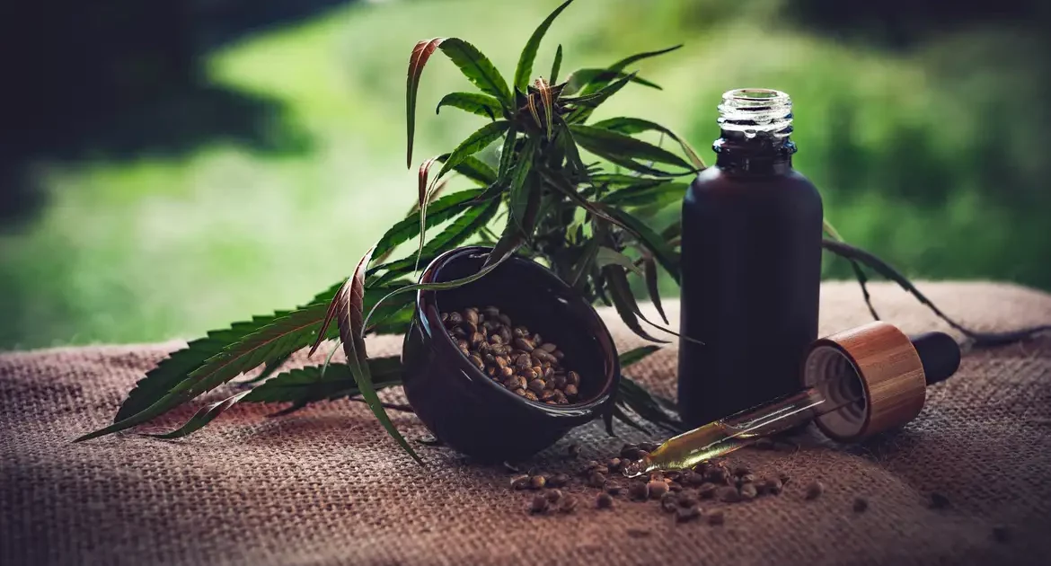 A urgência da legalização da cannabis medicinal no Brasil