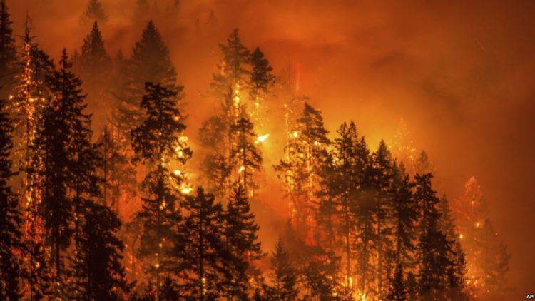 Neofascismo e mudança climática
