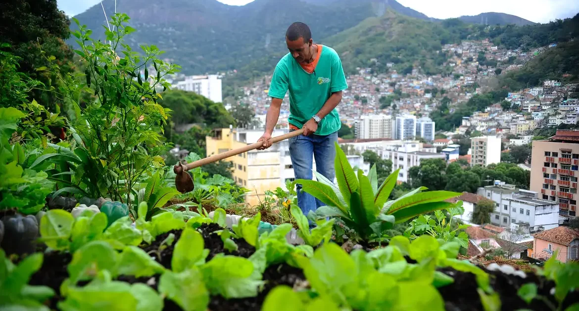 Câmara avança em projeto que garante hortas comunitárias em terrenos da União