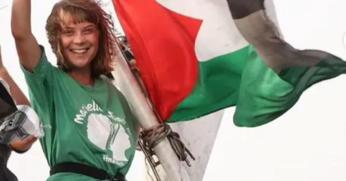 Greta Thunberg, exemplo de militância antisistêmica