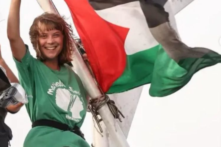 Greta Thunberg, exemplo de militância antisistêmica