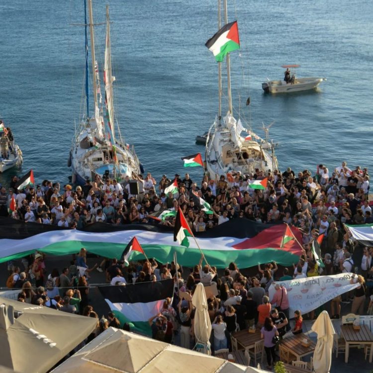 Liberdade para os presos políticos da flotilha, liberdade para toda Palestina
